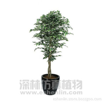 artificial ficus Tree wooden trunk